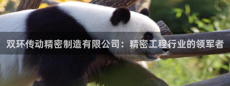 彩神8彩平台客服：双环传动精密制造有限公司：精密工程行业的领军者
