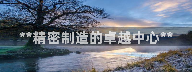 彩神天下专家专栏：**精密制造的卓越中心**