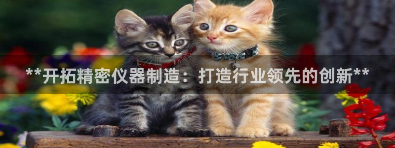 彩神v8是一个什么平台：**开拓精密仪器制造：打造行业领先的创新**