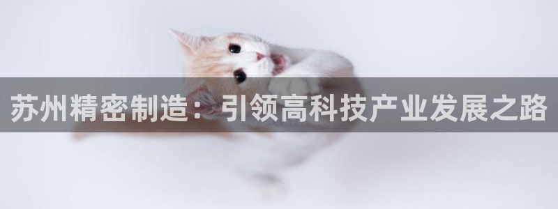 彩神数码科技有限公司