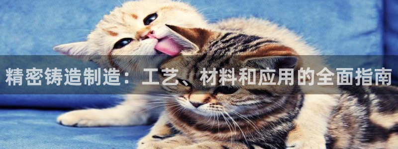彩神大发如何观察走势：精密铸造制造：工艺、材料和应用的全面指南