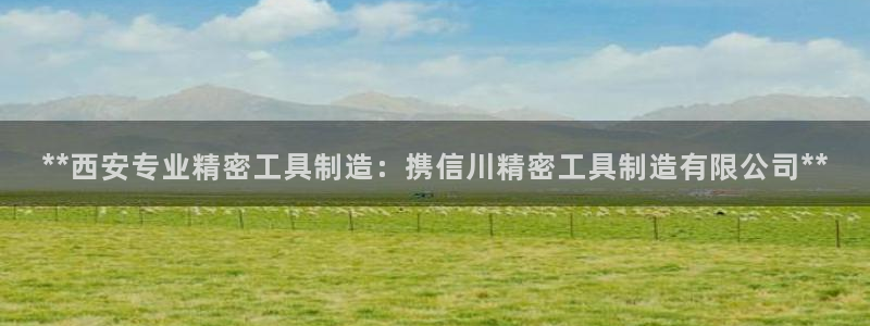 彩神ix官网是哪个公司的：**西安专业精密工具制造：携信川精密工具制造有限公司**