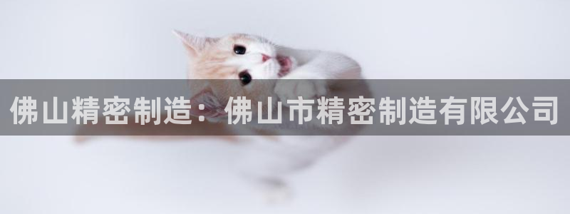 下载彩神通关注码：佛山精密制造：佛山市精密制造有限公司