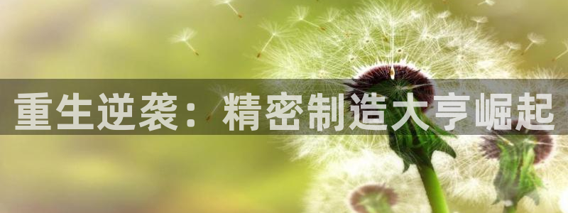彩神vll购彩大厅大众：重生逆袭：精密制造大亨崛起