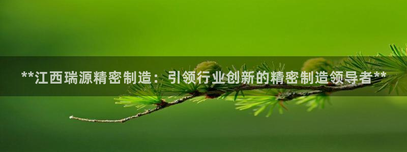 彩神vlll游戏特色：**江西瑞源精密制造：引领行业创新的精密制造领导者**