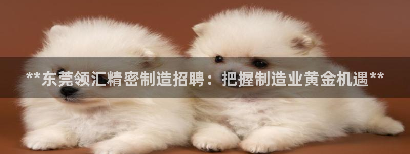 彩神是什么平台：**东莞领汇精密制造招聘：把握制造业黄金机遇**