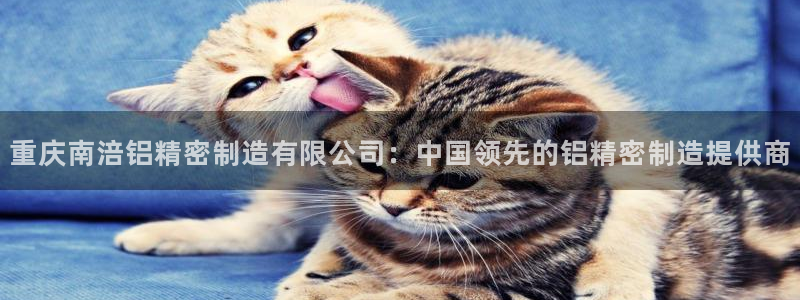 彩神这个平台是真的吗：重庆南涪铝精密制造有限公司：中国领先的铝精密制造提供商