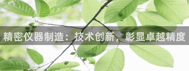 彩神购彩-购彩大厅入口老版：精密仪器制造：技术创新，彰显卓越精度
