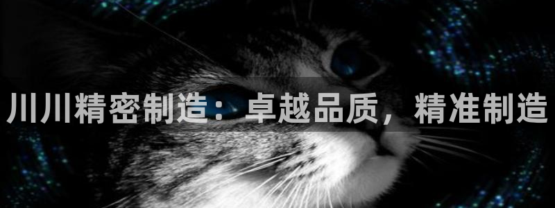 天天彩神welcome：川川精密制造：卓越品质，精准制造