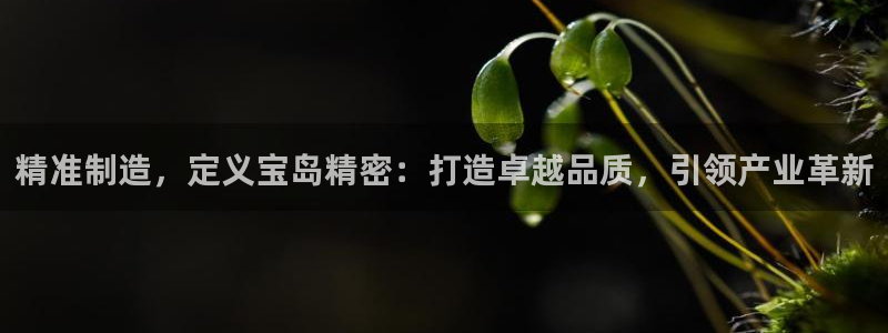 彩神赢了钱登录不上去：精准制造，定义宝岛精密：打造卓越品质，引领产业革新