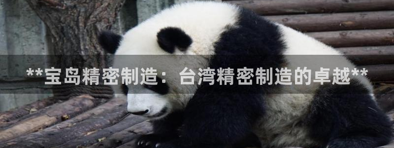 彩神vi争霸官网：**宝岛精密制造：台湾精密制造的卓越**