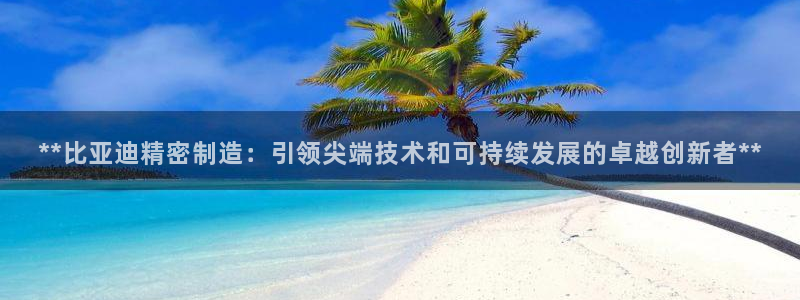 彩神vlll(中国)百度百科：**比亚迪精密制造：引领尖端技术和可持续发展的卓越创新者**