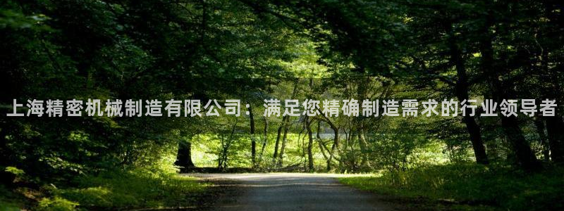 下载彩神争霸谁与我争锋：上海精密机械制造有限公司：满足您精确制造需求的行业领导者