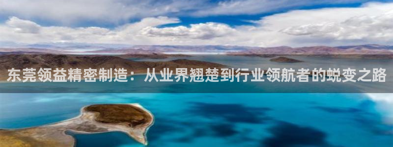 彩神可以提现吗：东莞领益精密制造：从业界翘楚到行业领航者的蜕变之路