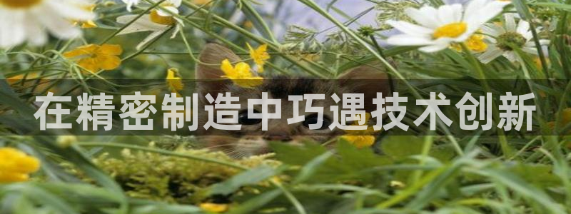 彩神购彩-购彩大厅入口娱乐首选