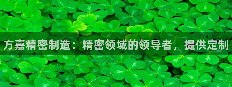 彩神v8手机客户端：方嘉精密制造：精密领域的领导者，提供定制