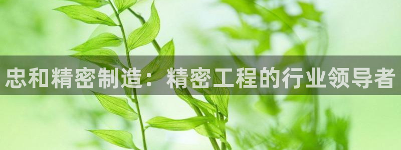 彩神广告有限公司：忠和精密制造：精密工程的行业领导者