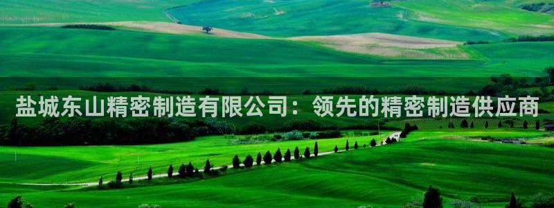 彩神网可以赚钱是真的吗：盐城东山精密制造有限公司：领先的精密制造供应商