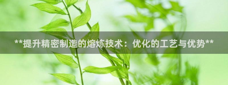 彩神8官网500：**提升精密制造的熔炼技术：优化的工艺与优势**
