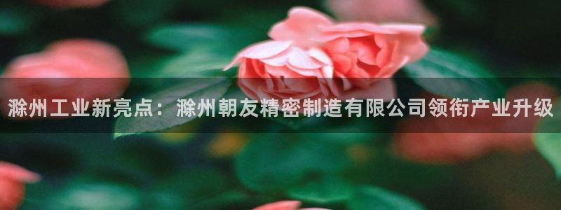 彩神vip购彩大厅：滁州工业新亮点：滁州朝友精密制造有限公司领衔产业升级