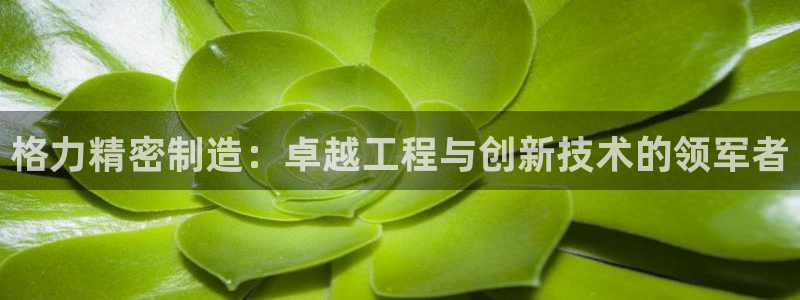 彩神viii官网：格力精密制造：卓越工程与创新技术的领军者