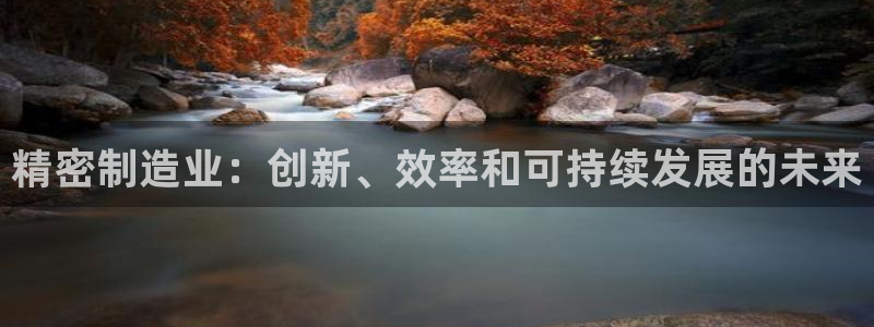 彩神Vii购彩-购彩大厅：精密制造业：创新、效率和可持续发展的未来