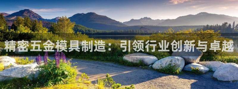 彩神网正规吗：精密五金模具制造：引领行业创新与卓越