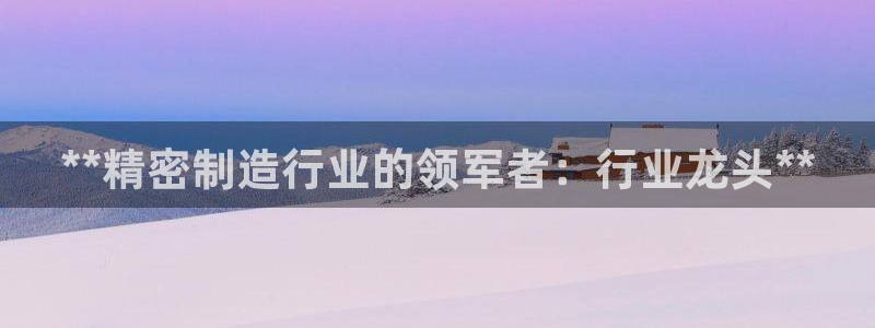彩神vll官网在线登录：**精密制造行业的领军者：行业龙头**