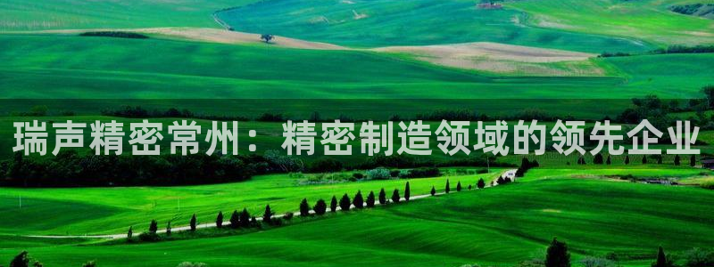 彩神天下专家专栏：瑞声精密常州：精密制造领域的领先企业