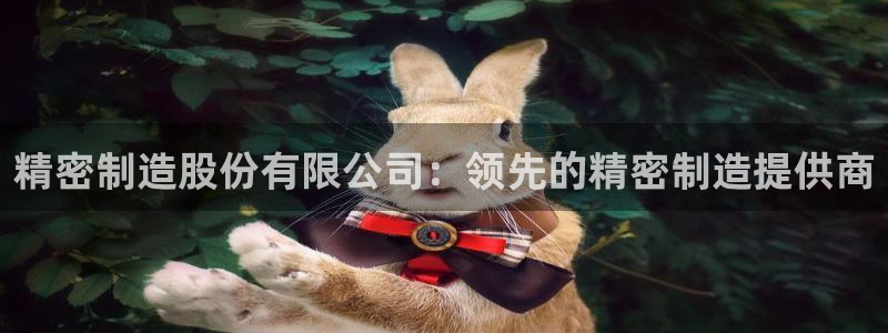 彩神v8手机客户端怎么下载：精密制造股份有限公司：领先的精密制造提供商