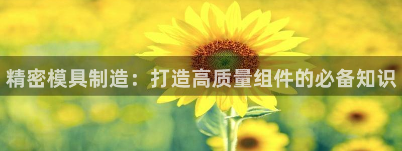 彩神正规吗：精密模具制造：打造高质量组件的必备知识