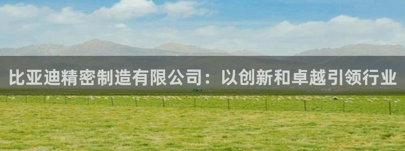 彩神v8购彩大厅登：比亚迪精密制造有限公司：以创新和卓越引领行业
