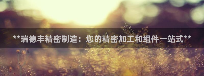 彩神vii手游下载：**瑞德丰精密制造：您的精密加工和组件一站式**