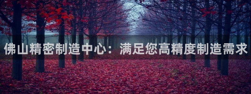 彩神vll首页：佛山精密制造中心：满足您高精度制造需求