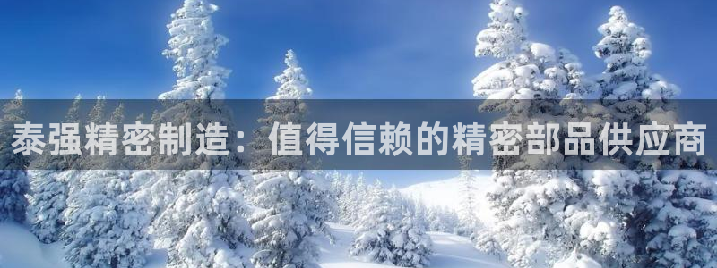 彩神V8有限公司：泰强精密制造：值得信赖的精密部品供应商