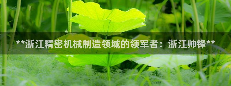 彩神平台能提现吗：**浙江精密机械制造领域的领军者：浙江帅锋**