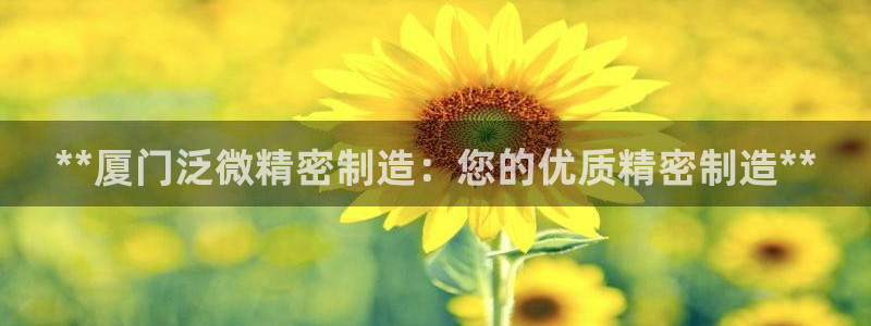 彩神平台是真的吗：**厦门泛微精密制造：您的优质精密制造**