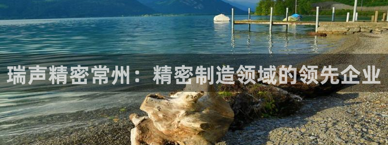 下载彩神通关注金码：瑞声精密常州：精密制造领域的领先企业