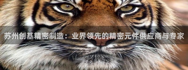 彩神平台是真的吗：苏州创基精密制造：业界领先的精密元件供应商与专家
