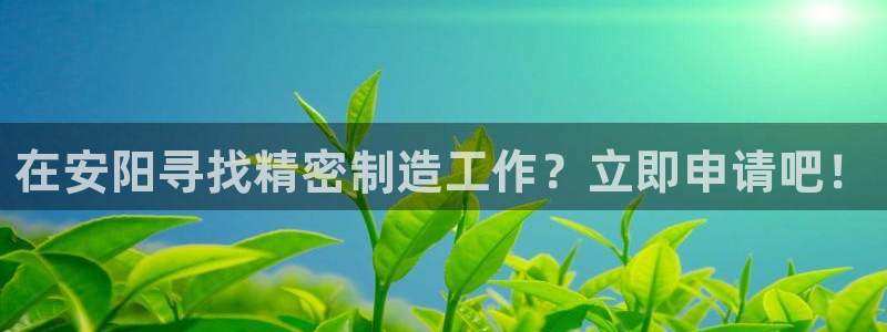 彩神v天天：在安阳寻找精密制造工作？立即申请吧！
