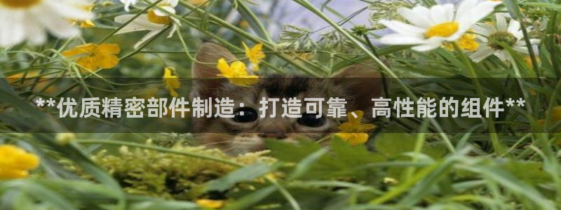 彩神v集团有限公司：**优质精密部件制造：打造可靠、高性能的组件**