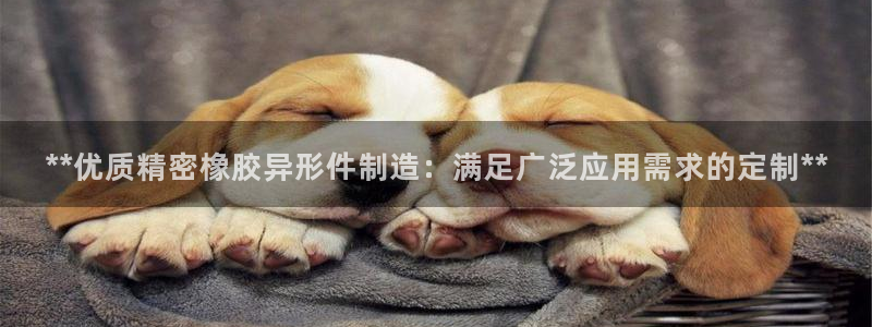 彩神趣购彩用户注册：**优质精密橡胶异形件制造：满足广泛应用需求的定制**