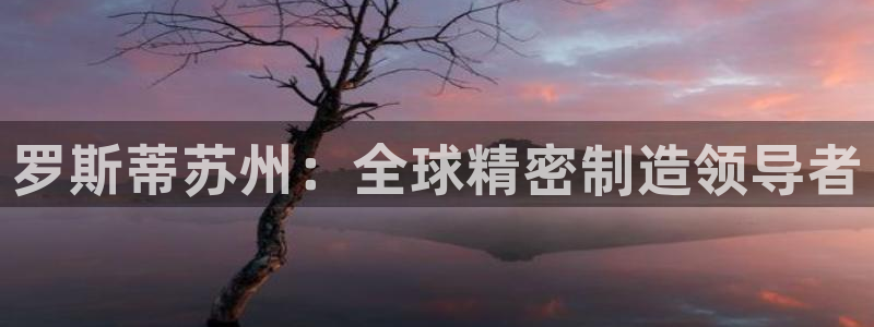 彩神平台之间是什么关系：罗斯蒂苏州：全球精密制造领导者