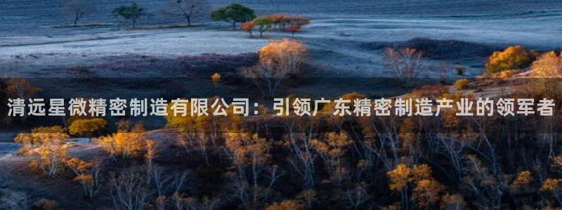 彩神数码科技有限公司：清远星微精密制造有限公司：引领广东精密制造产业的领军者
