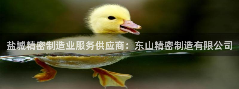 彩神app赚钱是真是假：盐城精密制造业服务供应商：东山精密制造有限公司