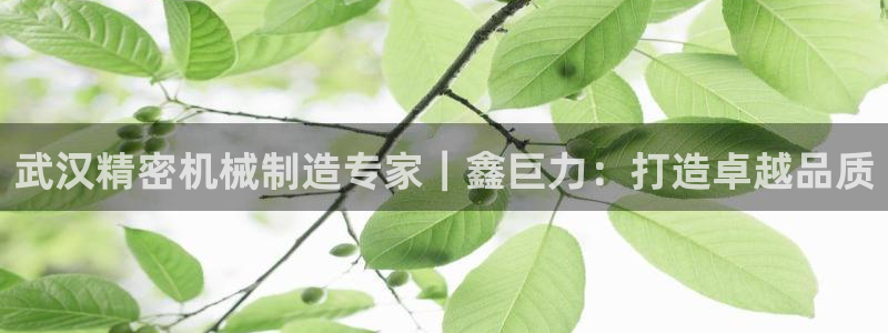 彩神可以提现吗：武汉精密机械制造专家｜鑫巨力：打造卓越品质