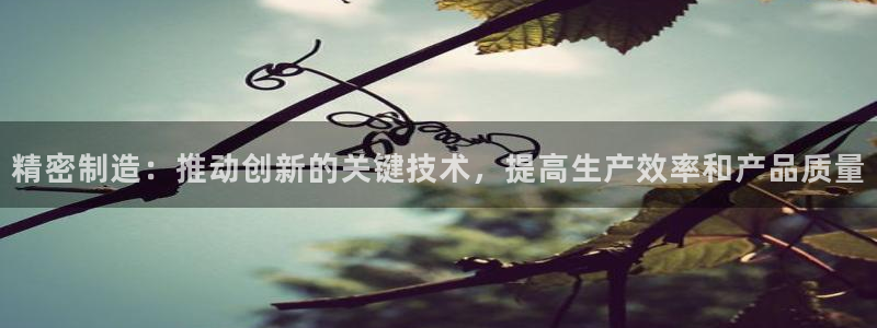 彩神盈利图片：精密制造：推动创新的关键技术，提高生产效率和产品质量