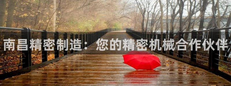彩神争霸平台：南昌精密制造：您的精密机械合作伙伴