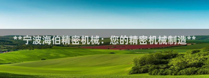 彩神ix平台：**宁波海伯精密机械：您的精密机械制造**