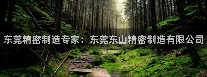 彩神是什么平台的游戏：东莞精密制造专家：东莞东山精密制造有限公司